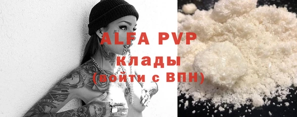 хмурый Магас