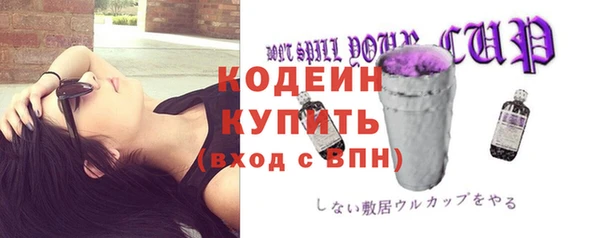 хмурый Магас