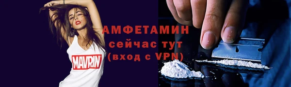 хмурый Магас