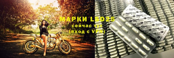 хмурый Магас