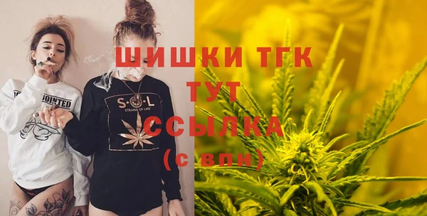 хмурый Магас