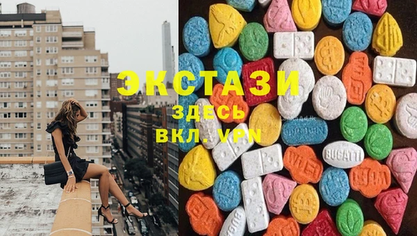 хмурый Магас