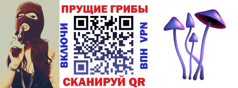 Псилоцибиновые грибы Magic Shrooms  Купить где  Лихославль 